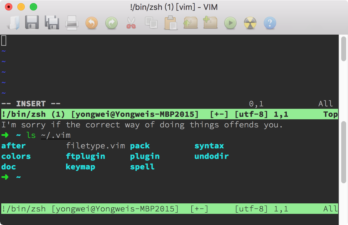 开了两个终端窗口的 Vim,其中上面那个又再次运行 Vim Fig16.1