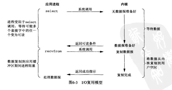 1671869113602-d513bd05-7ec3-4ad9-adbb-e32e3d9f3856.jpeg